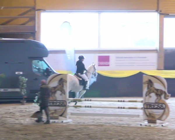 Reitturnier Boll 2025