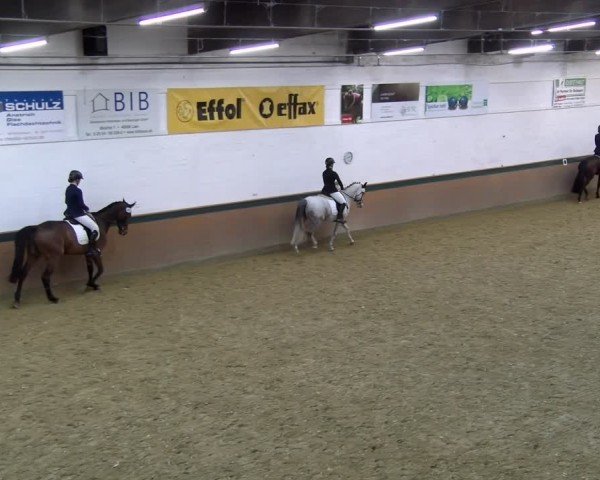 Reitturnier Laer 2025