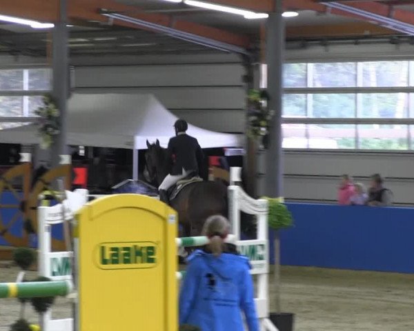Reitturnier Isterberg 2013