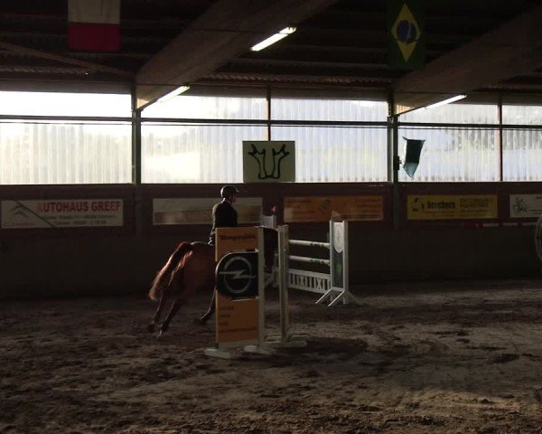 Reitturnier Lembeck 2025