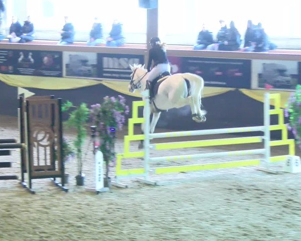 Reitturnier Boll 2025