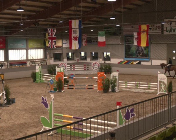 Reitturnier Luhmühlen 2025