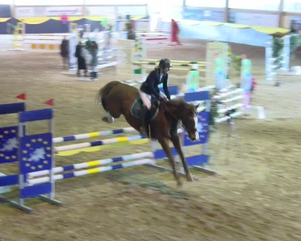 Reitturnier Boll 2025