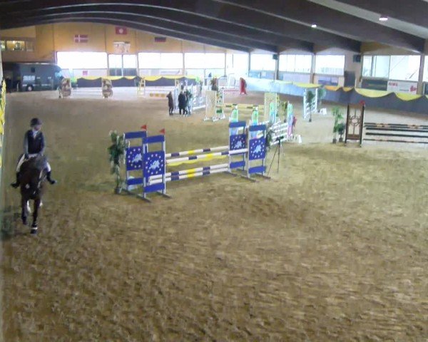 Reitturnier Boll 2025