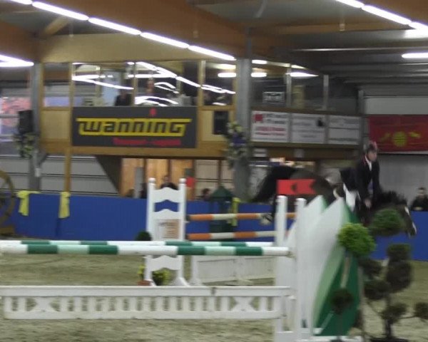 6. Isterberger Euregio-Hallen Springturnier vom 10.-13.10.2013