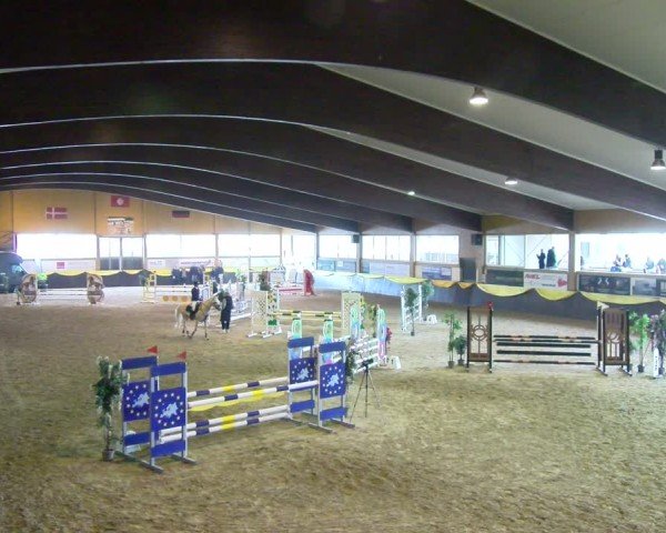 Reitturnier Boll 2025