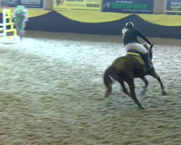Reitturnier Boll 2025