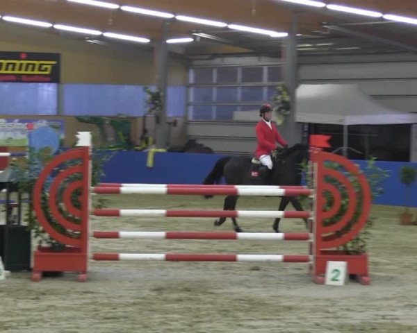6. Isterberger Euregio-Hallen Springturnier vom 10.-13.10.2013