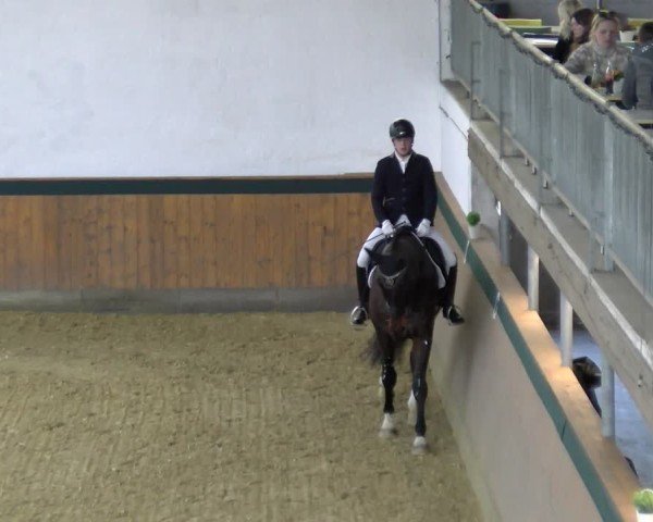 Reitturnier Laer 2025