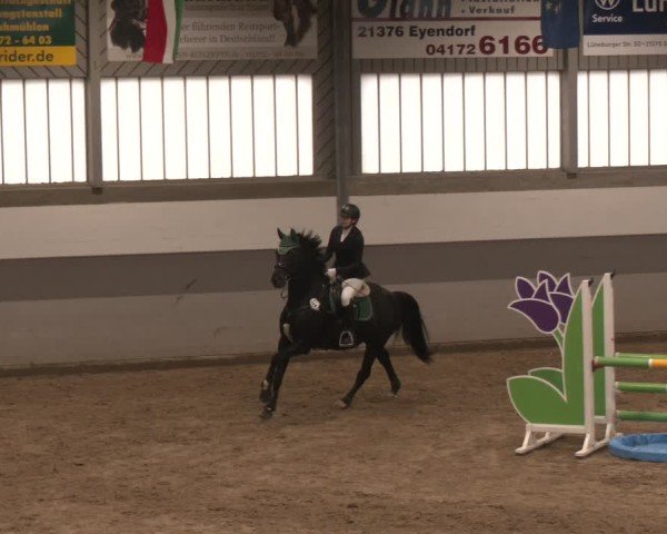 Reitturnier Luhmühlen 2025