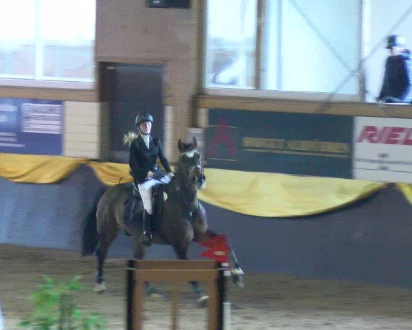 Reitturnier Boll 2025