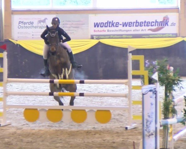 Reitturnier Boll 2025