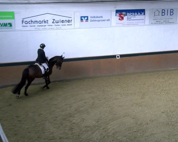 Reitturnier Laer 2025