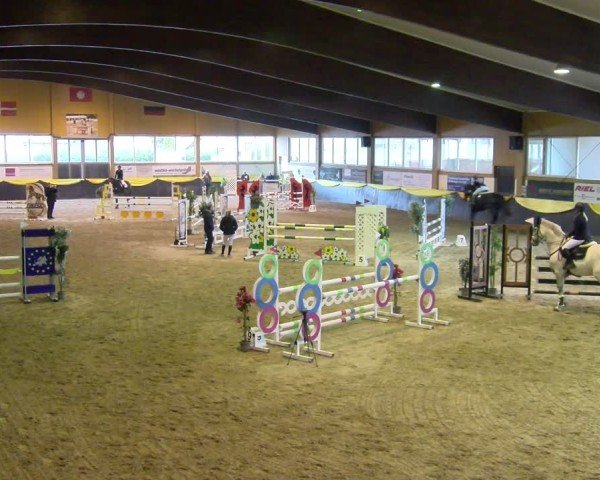 Reitturnier Boll 2025