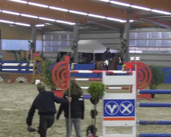 6. Isterberger Euregio-Hallen Springturnier vom 10.-13.10.2013