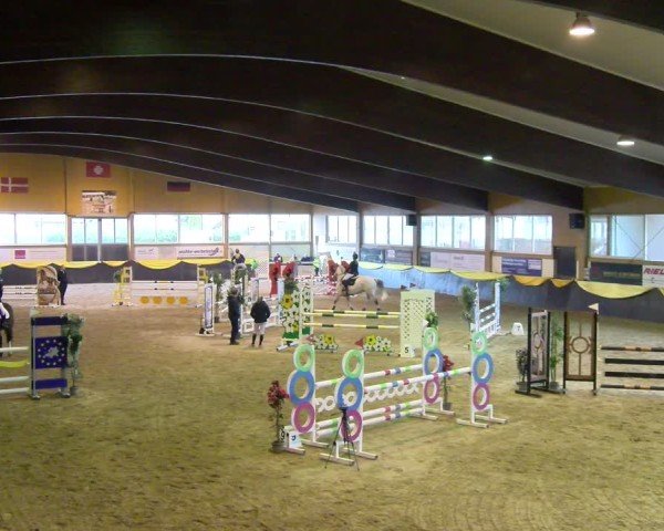 Reitturnier Boll 2025