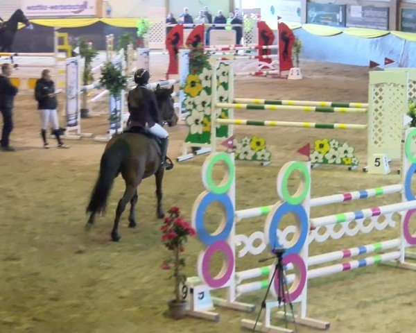 Reitturnier Boll 2025