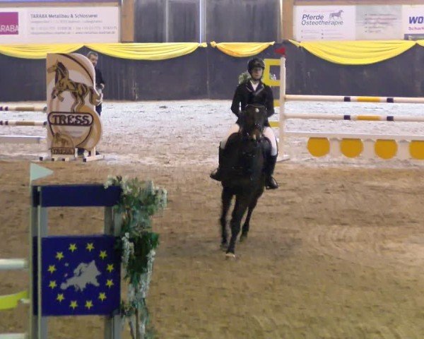 Reitturnier Boll 2025