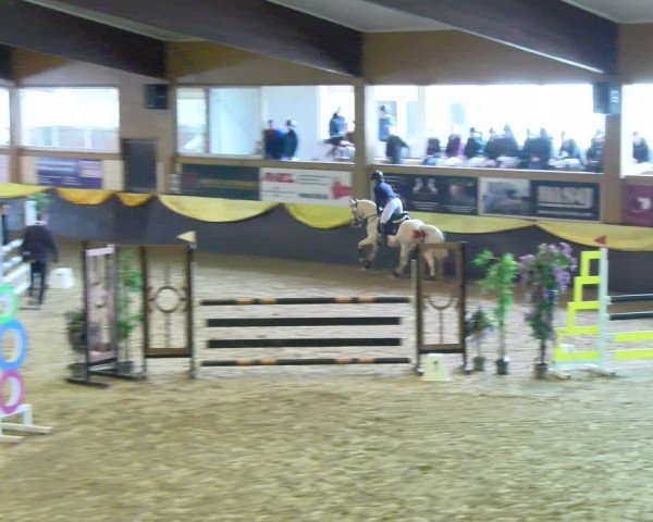 Reitturnier Boll 2025