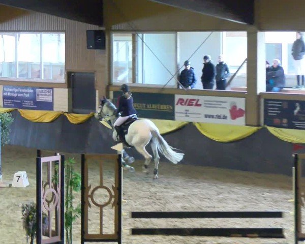 Reitturnier Boll 2025