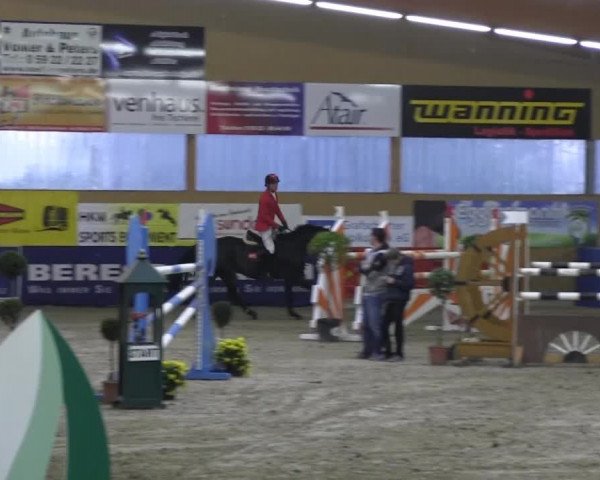 6. Isterberger Euregio-Hallen Springturnier vom 10.-13.10.2013