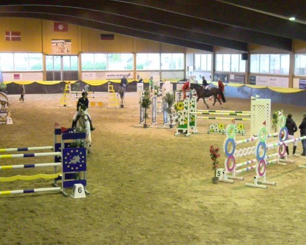 Reitturnier Boll 2025