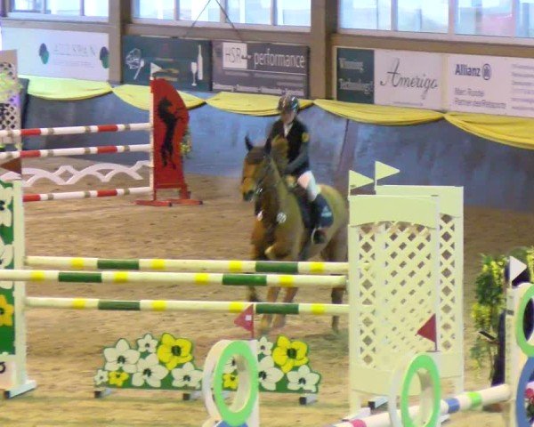 Reitturnier Boll 2025
