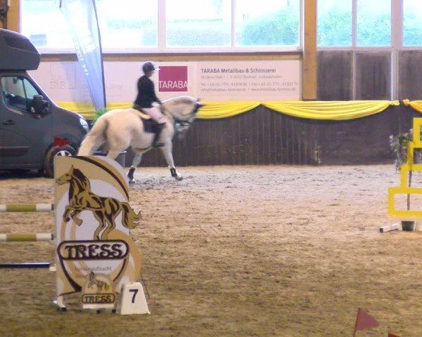Reitturnier Boll 2025