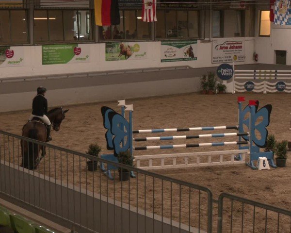 Reitturnier Luhmühlen 2025
