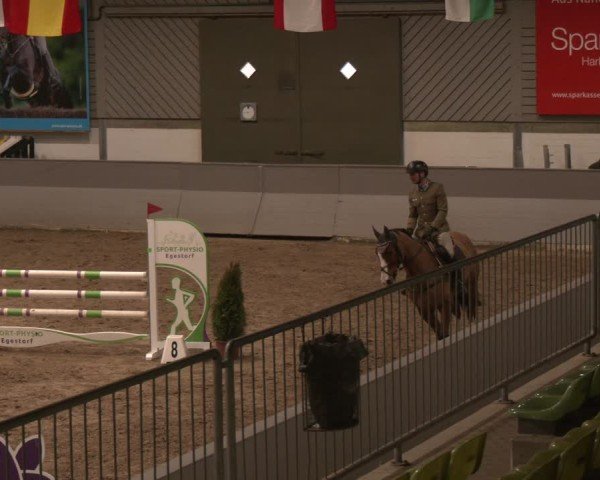 Reitturnier Luhmühlen 2025