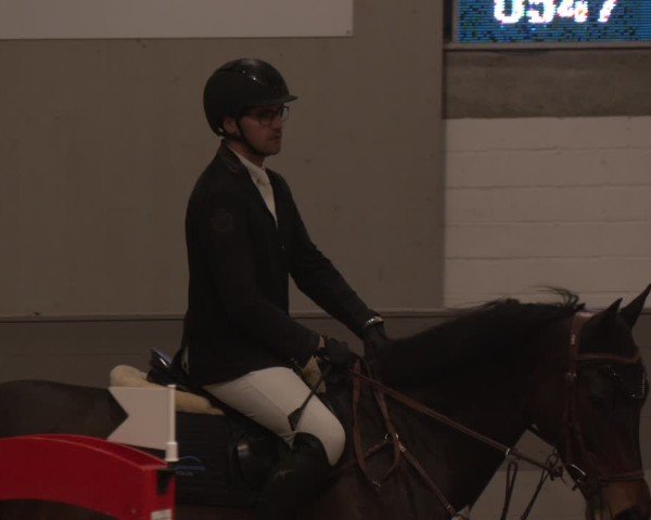 Reitturnier Luhmühlen 2025