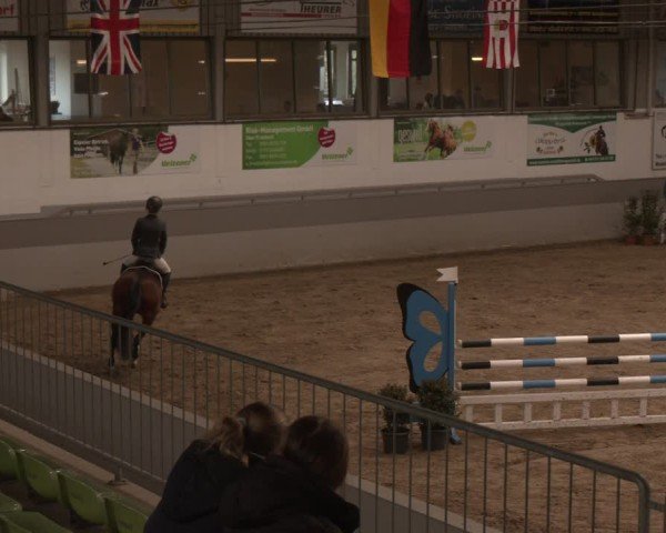 Reitturnier Luhmühlen 2025