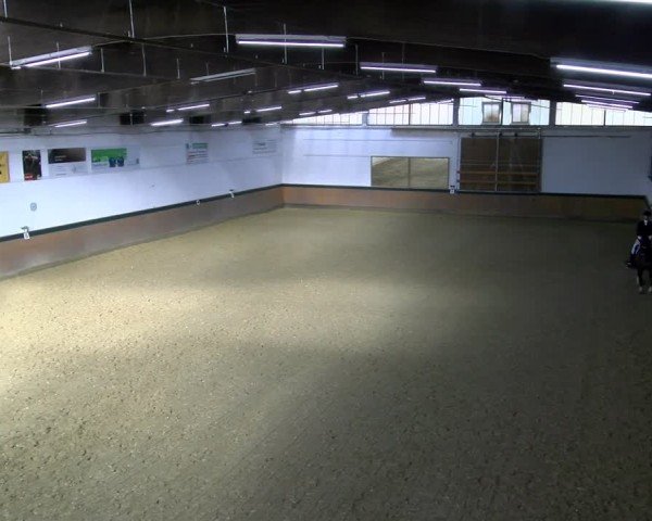 Reitturnier Laer 2025