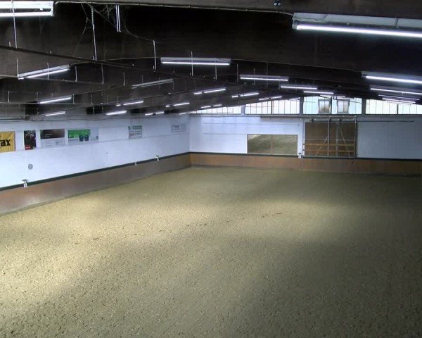 Reitturnier Laer 2025