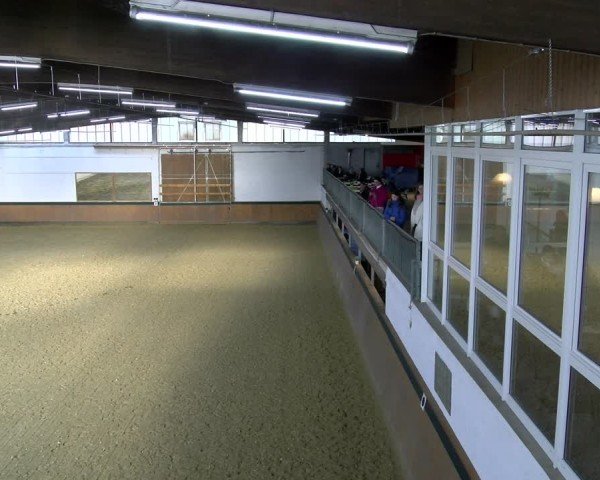 Reitturnier Laer 2025