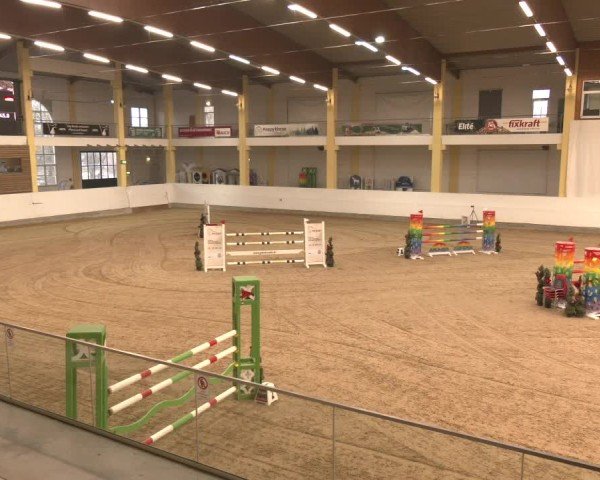 Reitturnier Stadl-Paura 2025