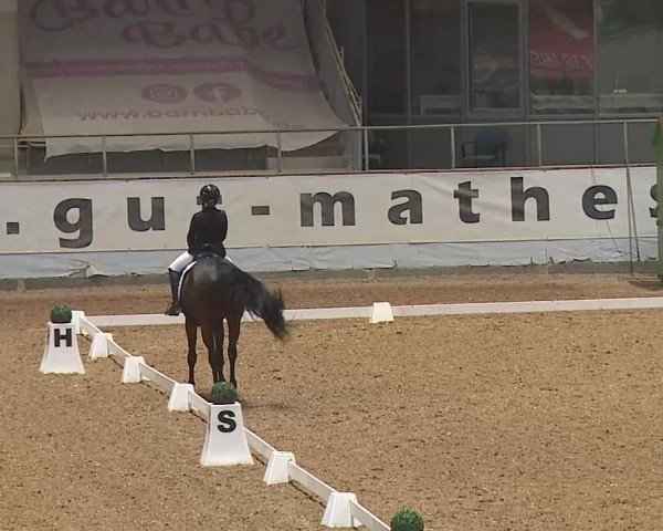 Reitturnier Kreuth 2025
