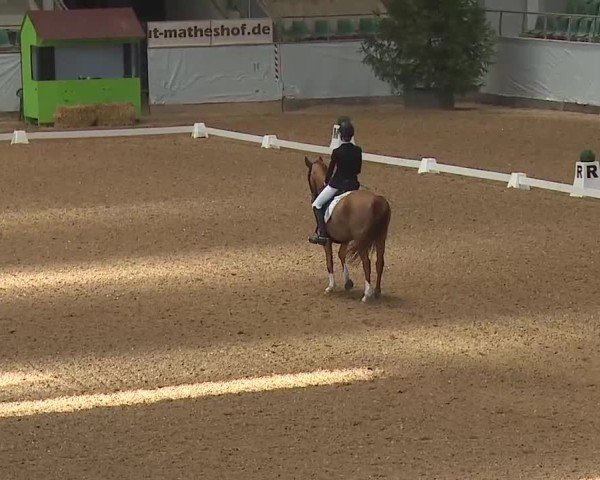 Reitturnier Kreuth 2025