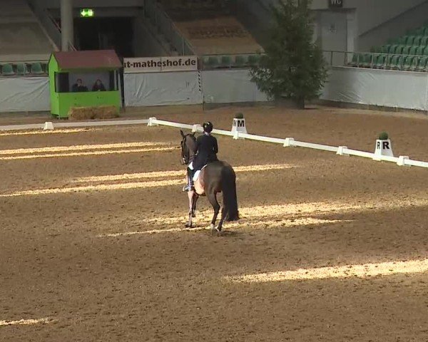 Reitturnier Kreuth 2025