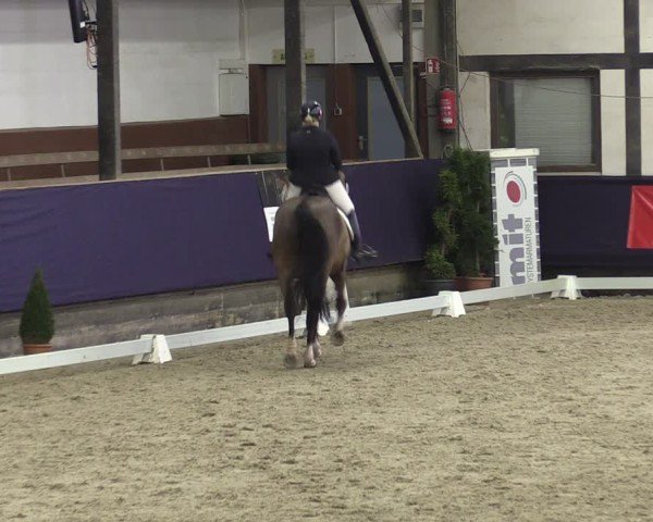 Reitturnier Vlotho-Exter 2025