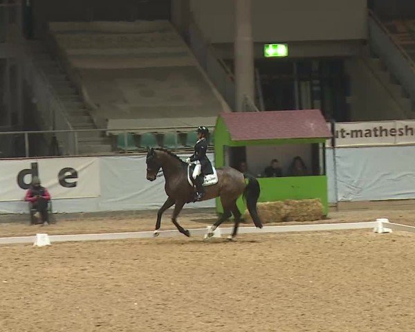 Reitturnier Kreuth 2025