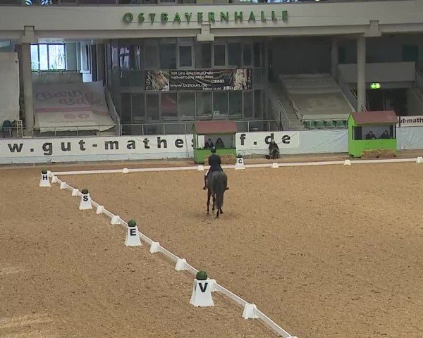 Reitturnier Kreuth 2025