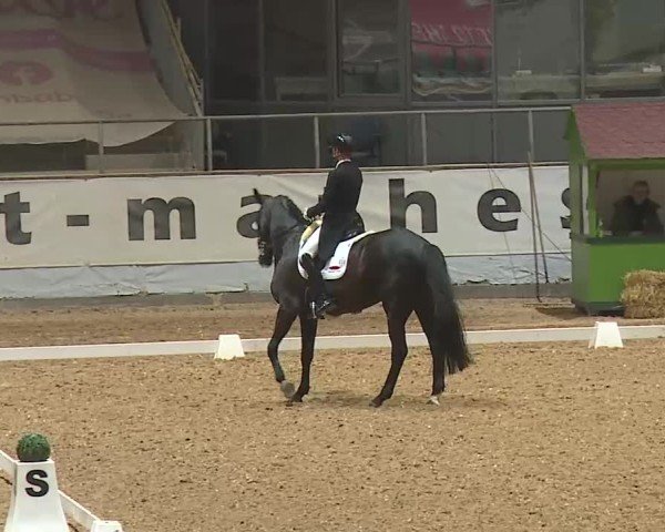 Reitturnier Kreuth 2025