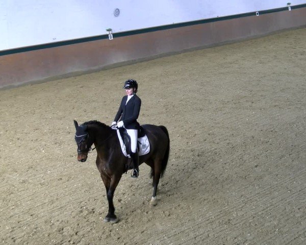 Reitturnier Laer 2025