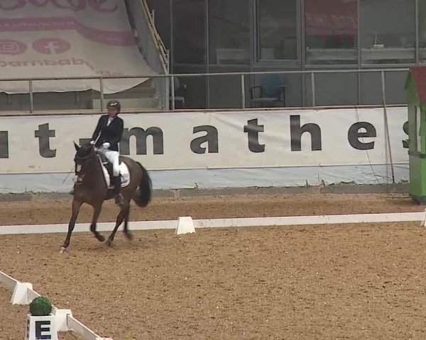 Reitturnier Kreuth 2025