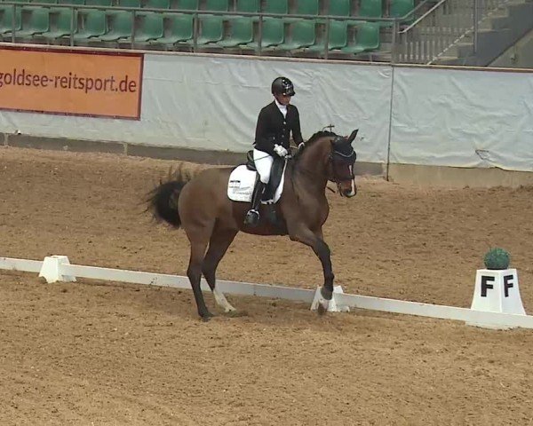Reitturnier Kreuth 2025