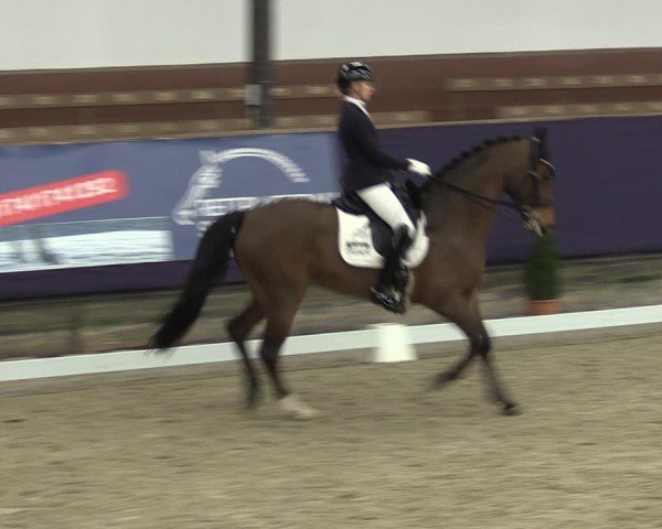 Reitturnier Vlotho-Exter 2025