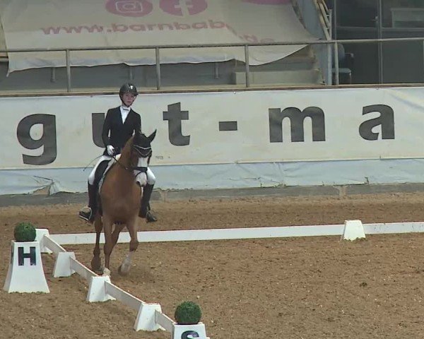 Reitturnier Kreuth 2025