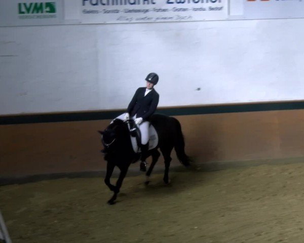 Reitturnier Laer 2025