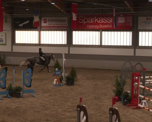 Reitturnier Luhmühlen 2025